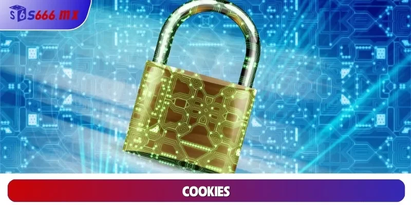 Chính sách bảo mật Cookies