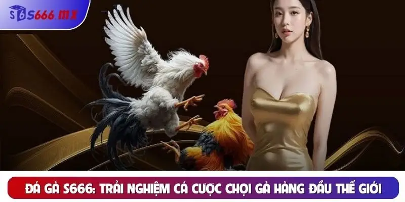 Đá gà S666: Trải nghiệm cá cược chọi gà hàng đầu thế giới