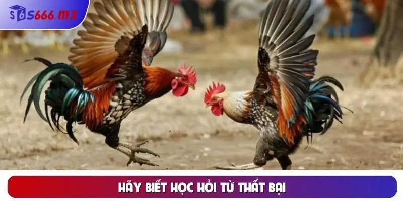 Hãy biết học hỏi từ thất bại Hãy biết học hỏi từ thất bại