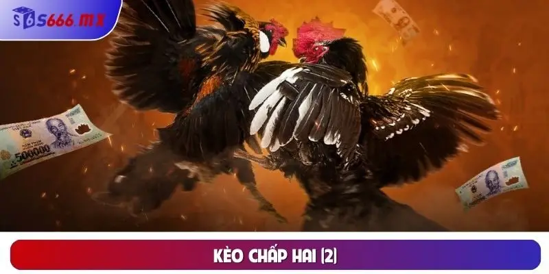 Kèo chấp hai (2) Kèo chấp hai (2)