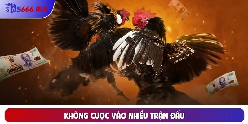 Không cược vào nhiều trận đấu Không cược vào nhiều trận đấu